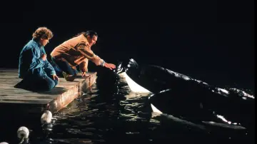 Backdrop to the movie "Free Willy 2: The Adventure Home" #360063