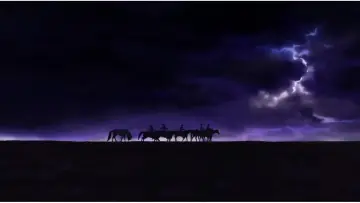 Backdrop to the movie "Spirit: Stallion of the Cimarron" #803013