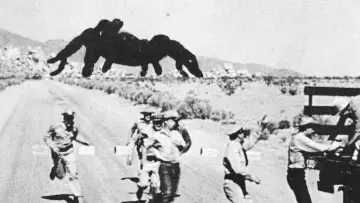 Backdrop to the movie "Tarantula" #1021197