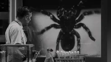 Backdrop to the movie "Tarantula" #721406