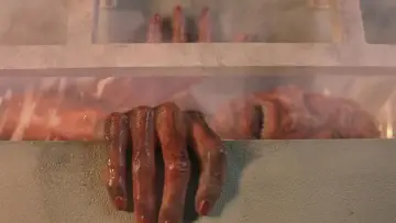 Backdrop to the movie "Final Destination 3" #789854