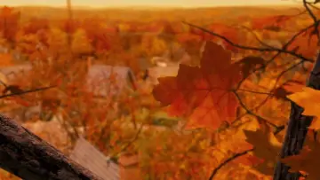 Backdrop to the movie "Monster House" #701319