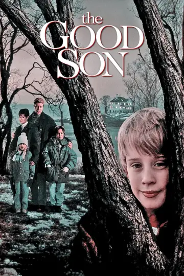 Poster to the movie "The Good Son" #78310