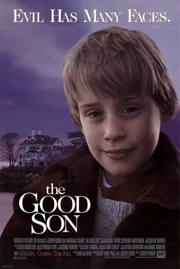 Poster to the movie "The Good Son" #878647