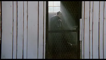 Backdrop to the movie "Witness" #672991