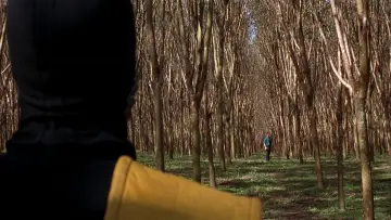 Backdrop to the movie "Mortal Kombat" #912817