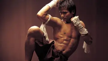 Backdrop to the movie "Ong-Bak" #240994