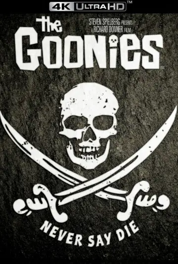 Poster to the movie "The Goonies" #647205