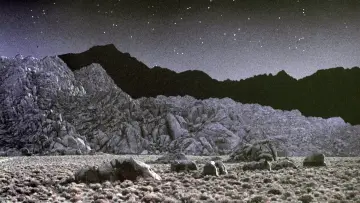 Backdrop to the movie "Tremors" #255648