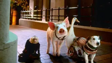 Backdrop to the movie "Babe: Pig in the City" #389028