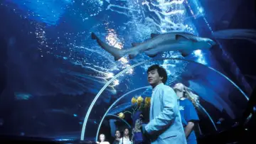 Backdrop to the movie "Police Story 4: First Strike" #810438