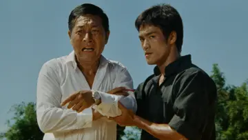 Backdrop to the movie "The Way of the Dragon" #1185289