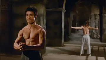 Backdrop to the movie "The Way of the Dragon" #1185290