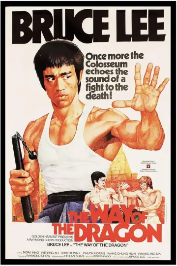 Poster to the movie "The Way of the Dragon" #745727