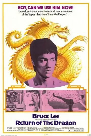 Poster to the movie "The Way of the Dragon" #745733