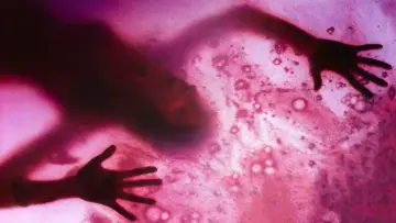 Backdrop to the movie "The Blob" #266291