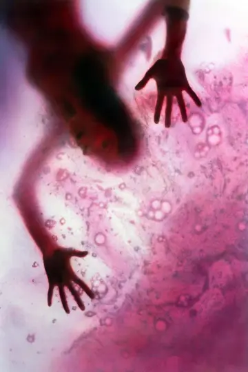 Poster to the movie "The Blob" #721401