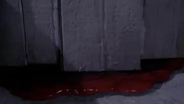 Backdrop to the movie "The Blob" #931308