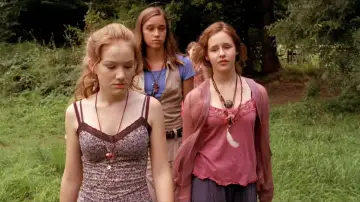 The Wild Chicks and Life poster