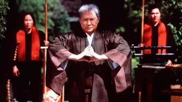 Backdrop to the movie "Beverly Hills Ninja" #907378