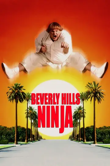 Poster to the movie "Beverly Hills Ninja" #1009239