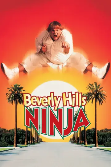 Poster to the movie "Beverly Hills Ninja" #1009240