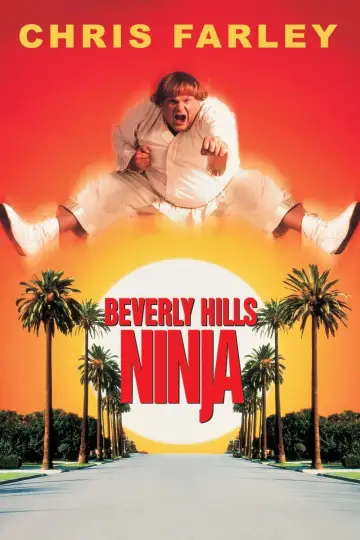 Poster to the movie "Beverly Hills Ninja" #124386