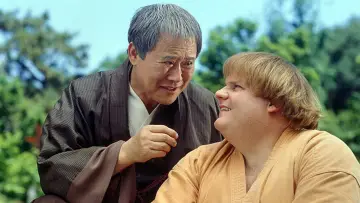Backdrop to the movie "Beverly Hills Ninja" #907381