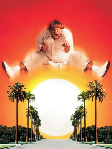 Poster to the movie "Beverly Hills Ninja" #907386