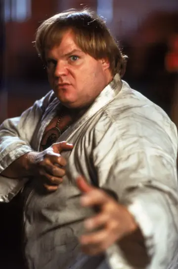 Poster to the movie "Beverly Hills Ninja" #907388