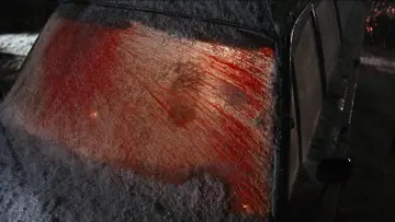 Backdrop to the movie "Black Christmas" #345798