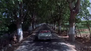 Backdrop to the movie "The Passenger" #988732
