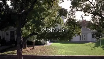 Backdrop to the movie "Pumpkin" #1128634