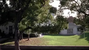 Backdrop to the movie "Pumpkin" #1128641