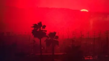 Backdrop to the movie "To Live and Die in L.A." #674922