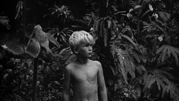 Backdrop to the movie "Lord of the Flies" #996091
