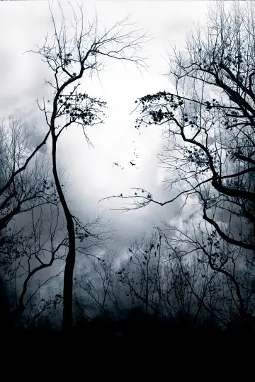 Poster to the movie "Premonition" #879328