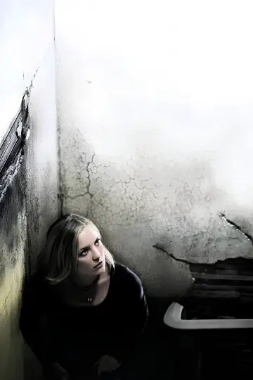 Poster to the movie "The Skeleton Key" #967621