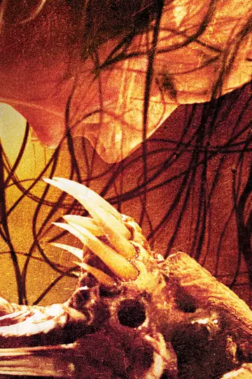 Poster to the movie "Feast" #946322
