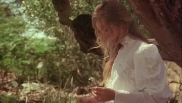 Backdrop to the movie "Picnic at Hanging Rock" #532764
