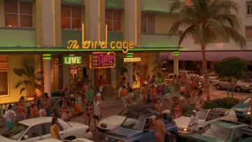 Backdrop to the movie "The Birdcage" #847304