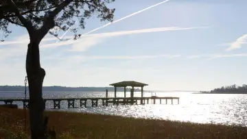 Backdrop to the movie "The Notebook" #183769