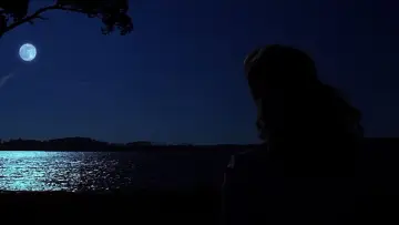 Backdrop to the movie "The Notebook" #752608