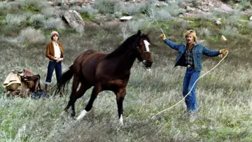 Backdrop to the movie "The Electric Horseman" #1063987