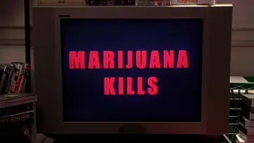 Backdrop to the movie "Harold & Kumar Go to White Castle" #881171