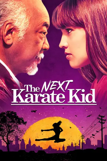 Poster to the movie "The Next Karate Kid" #872738