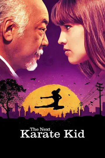 Poster to the movie "The Next Karate Kid" #919339