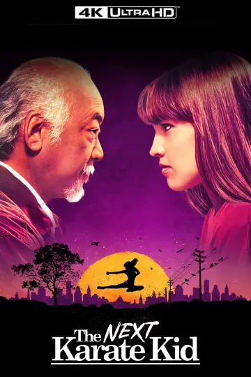 Poster to the movie "The Next Karate Kid" #919341