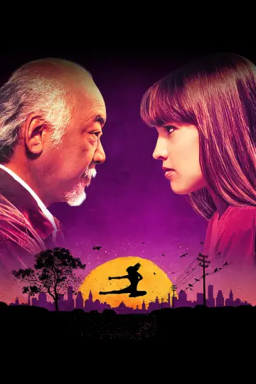 Poster to the movie "The Next Karate Kid" #919345