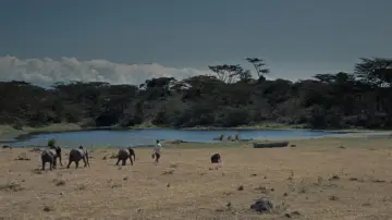 Backdrop to the movie "Hatari!" #1014489